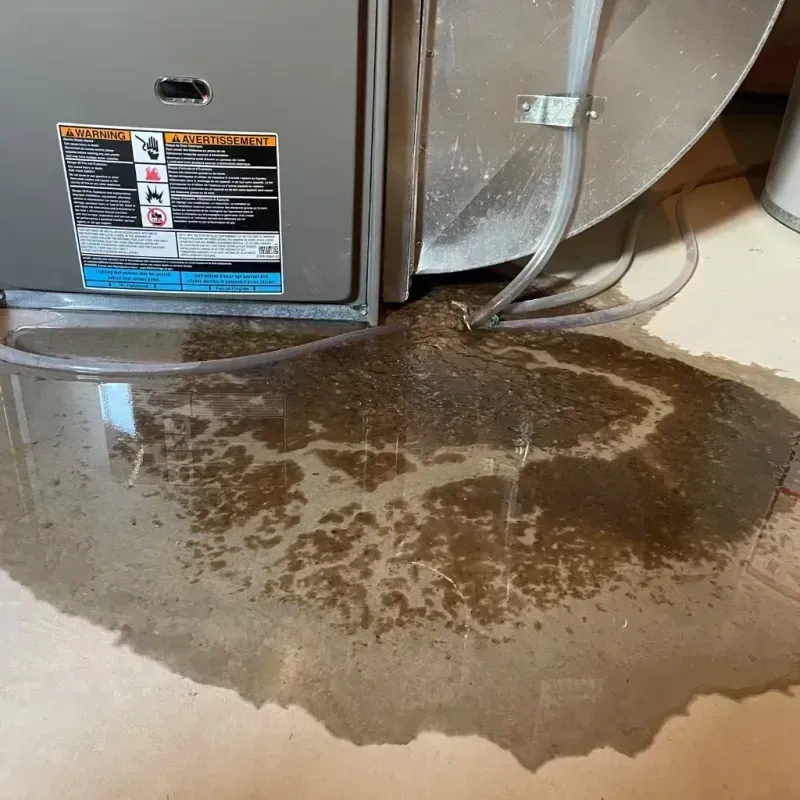 Appliance Leak Cleanup in Cutten, CA